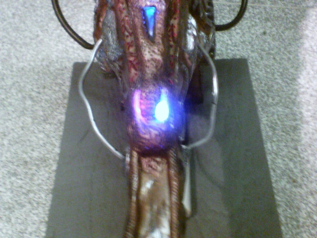 predatorcannoncontest041.jpg