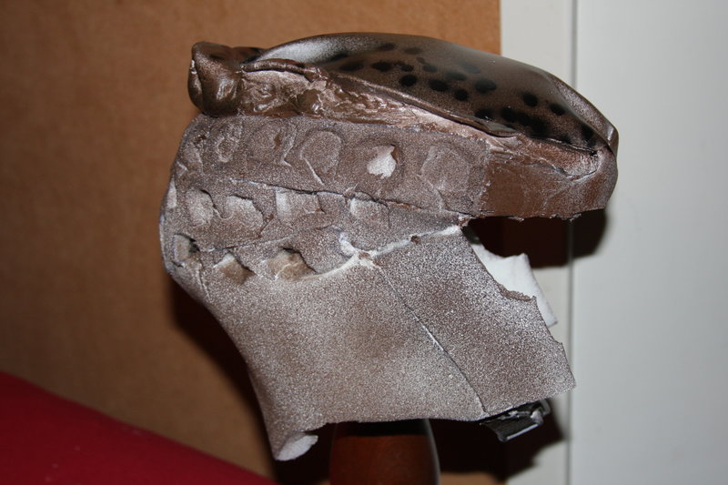 predatorcostumepics004vu5.jpg
