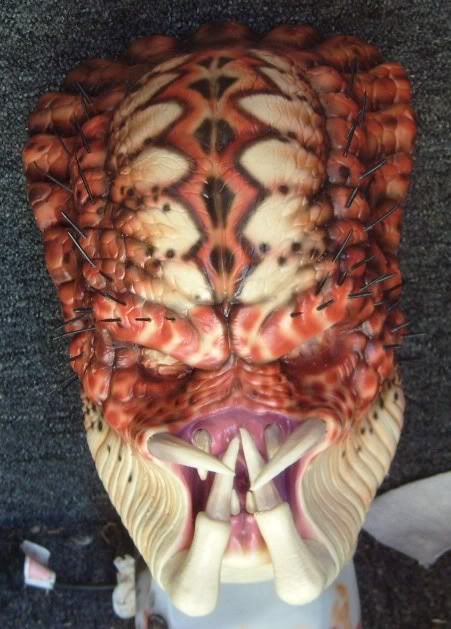 predatorhead.jpg