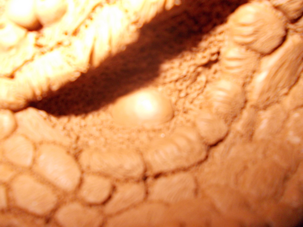 predatormask031.jpg