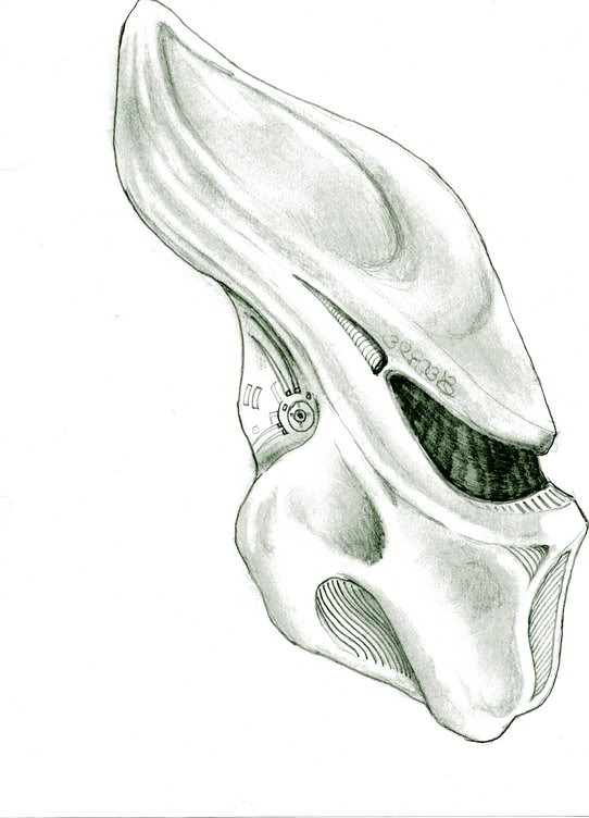 PREDATORS0004.jpg
