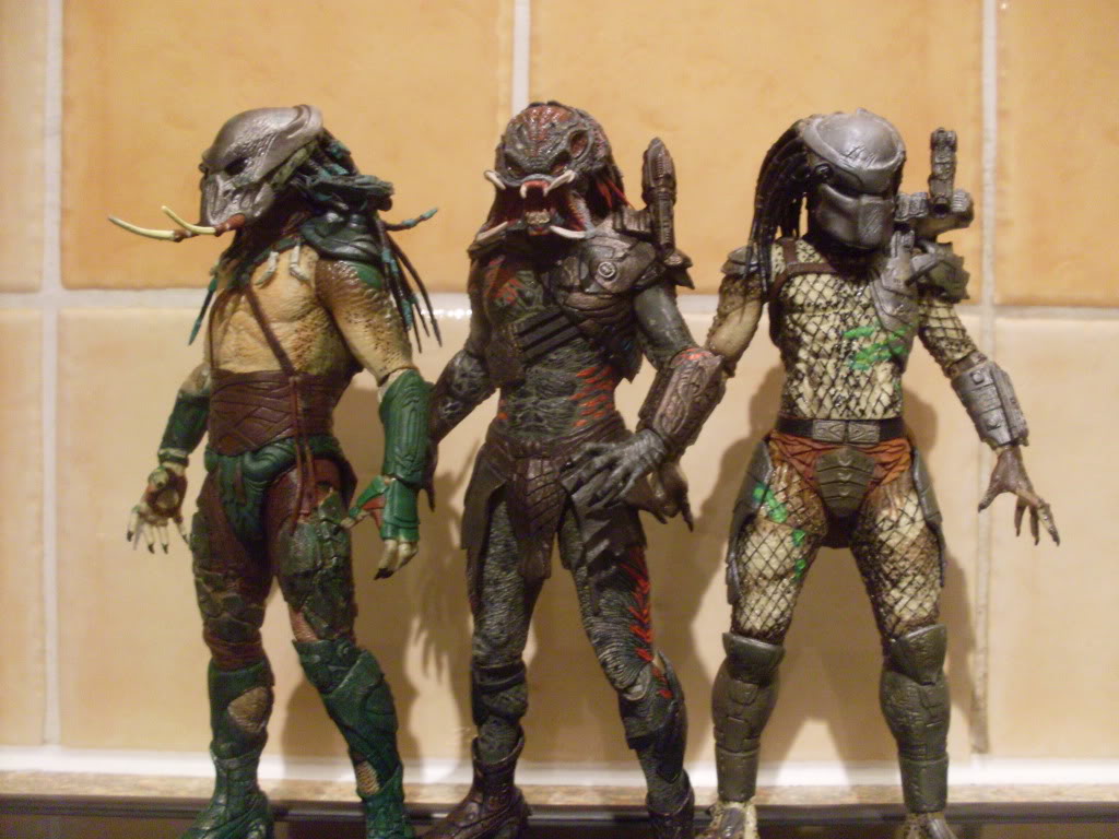 predators009.jpg