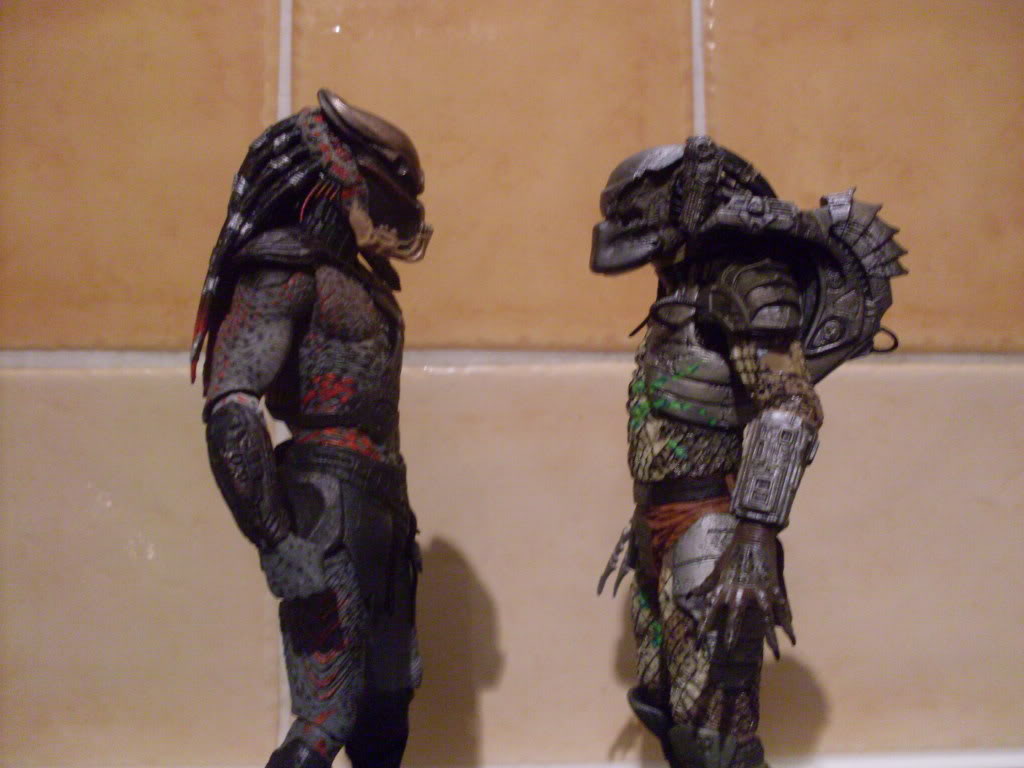 predators011.jpg