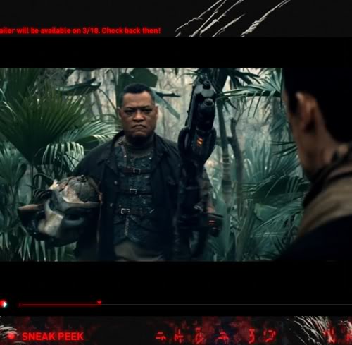 predators1.jpg
