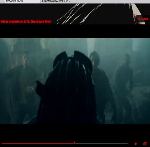 predators4copy.jpg