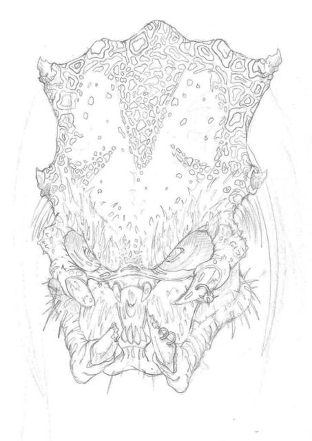 Preddesign213.jpg