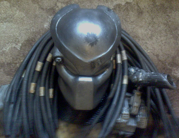 predheadcu.jpg