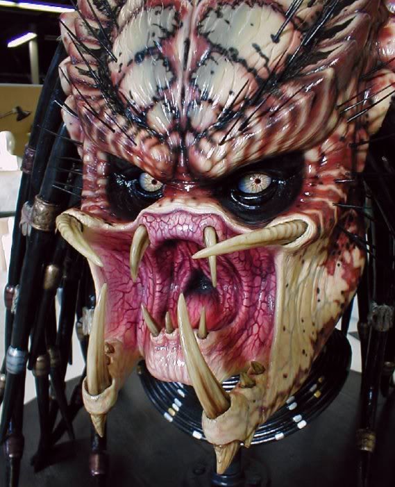 PredHeads39.jpg