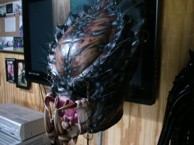 predmask3008.jpg