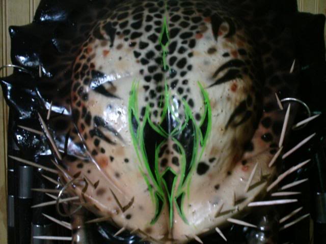 predmask5007.jpg