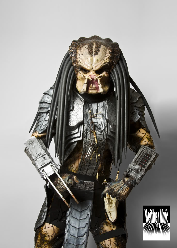 prednether.jpg