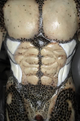 PredPainted--_09-27-2009_4472.jpg