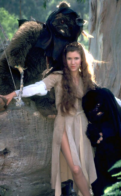 princess-leia-princess-leia-organa-solo-skywalker-31897484-404-656.jpg