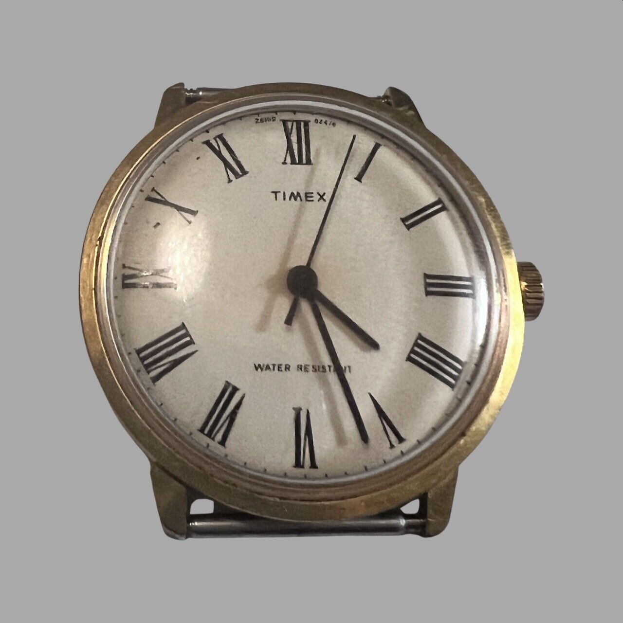 Probable Watch.jpg