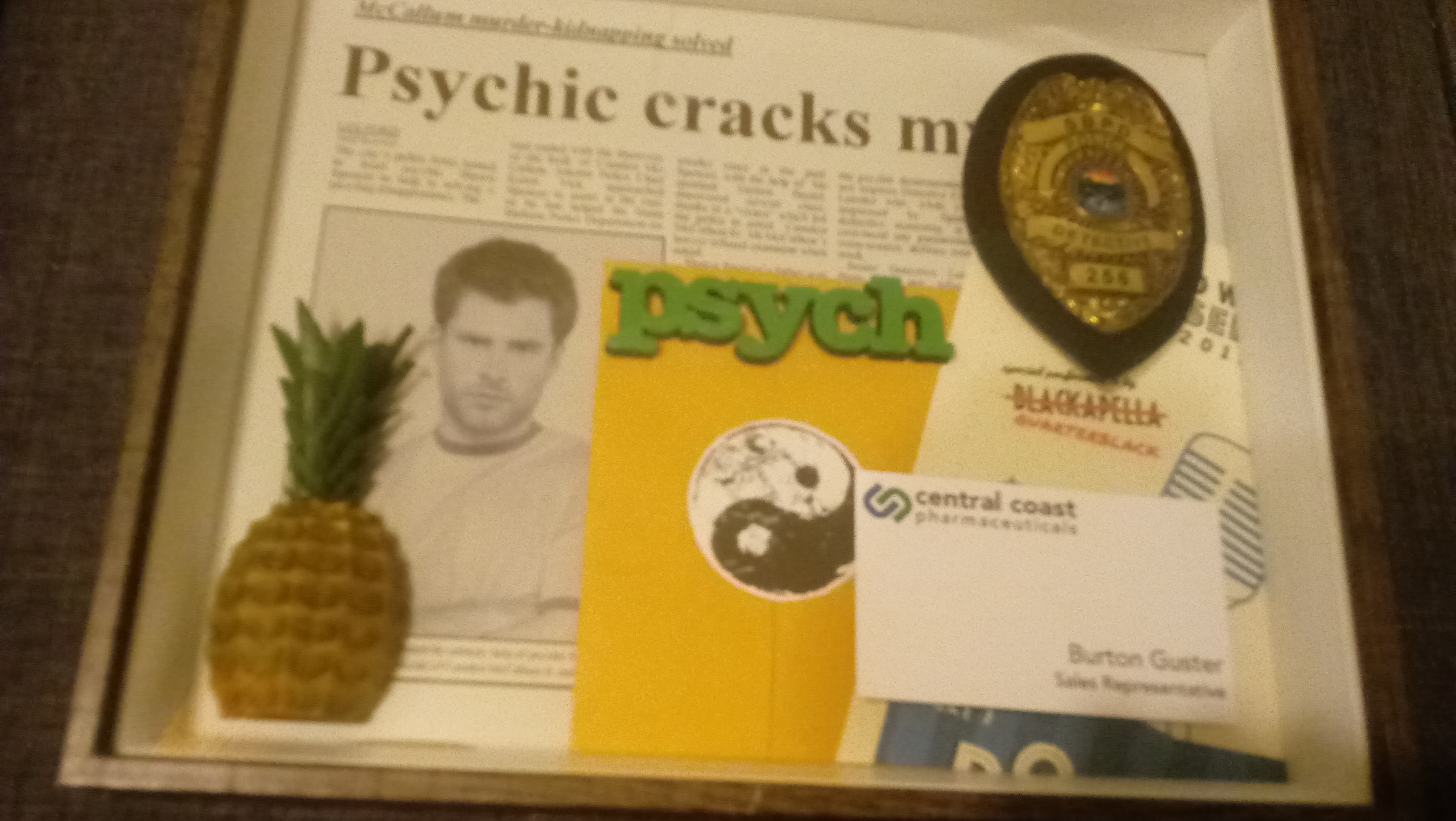 psych shadowbox.jpg