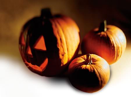 Pumkins2009.jpg