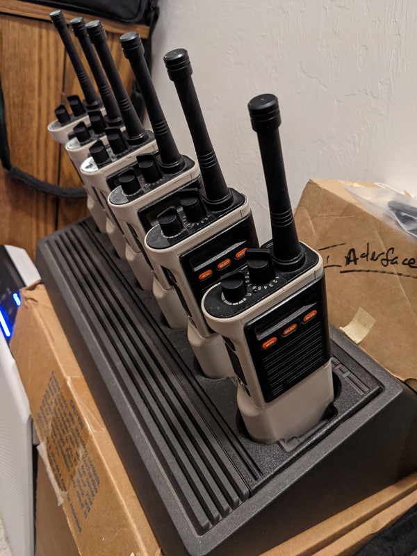 PXL-20210228-043211754.jpg
