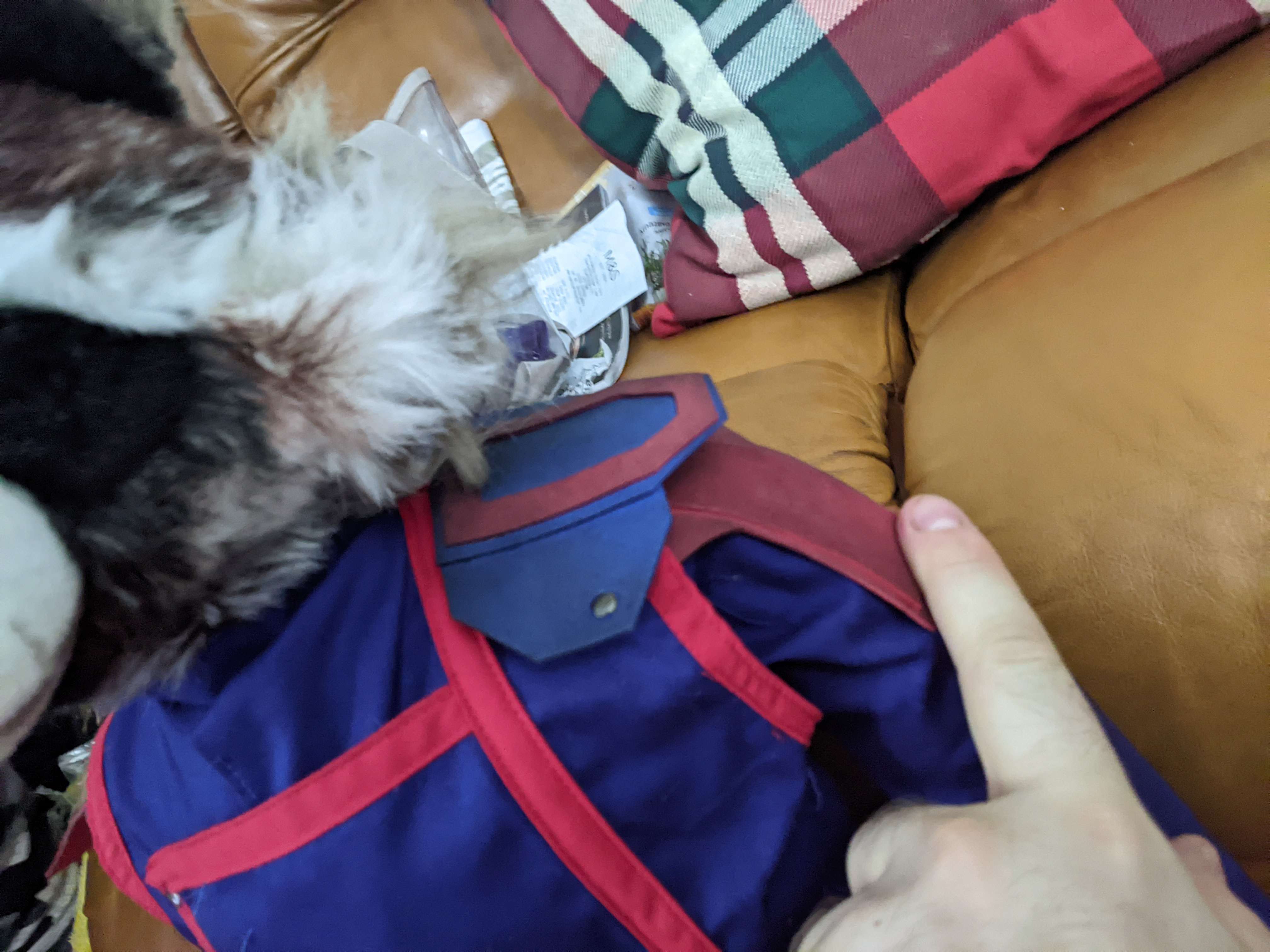 PXL_20231012_185645056.jpeg