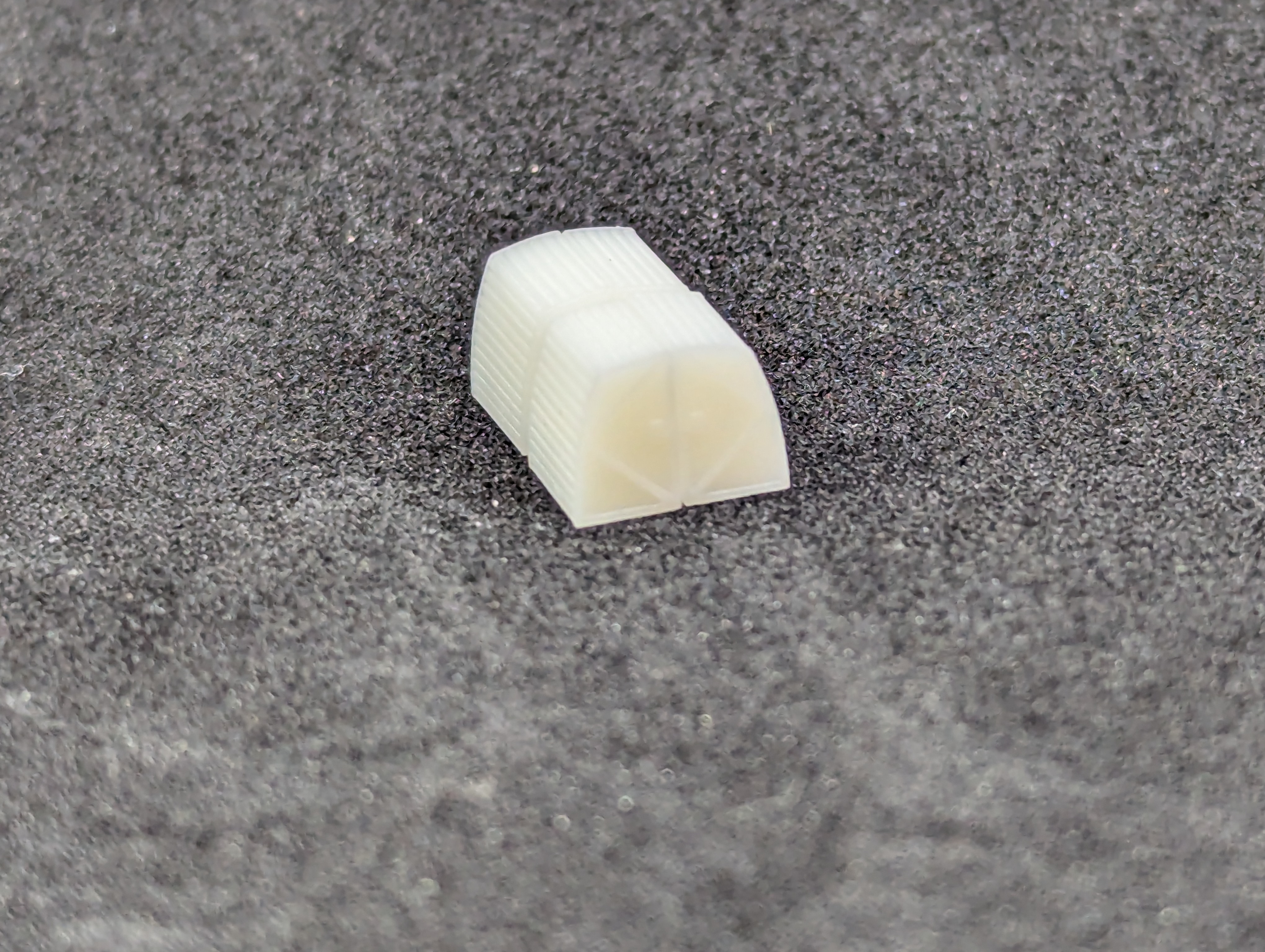 PXL_20240610_030001241.jpg