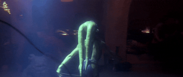 QueasyDefinitiveLhasaapso-max-1mb.gif