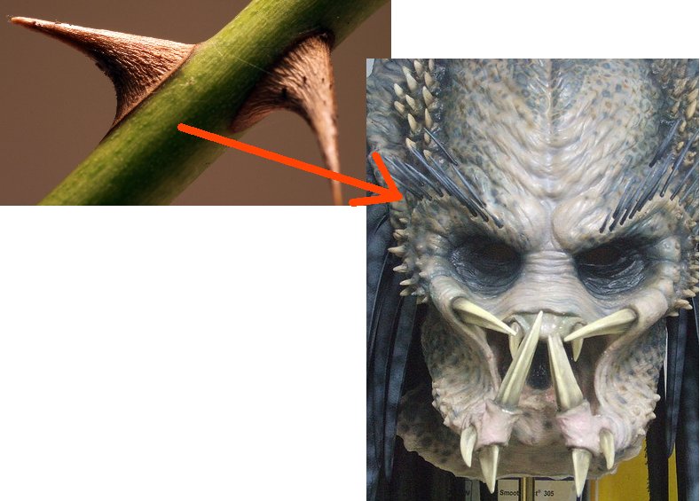 quills.jpg