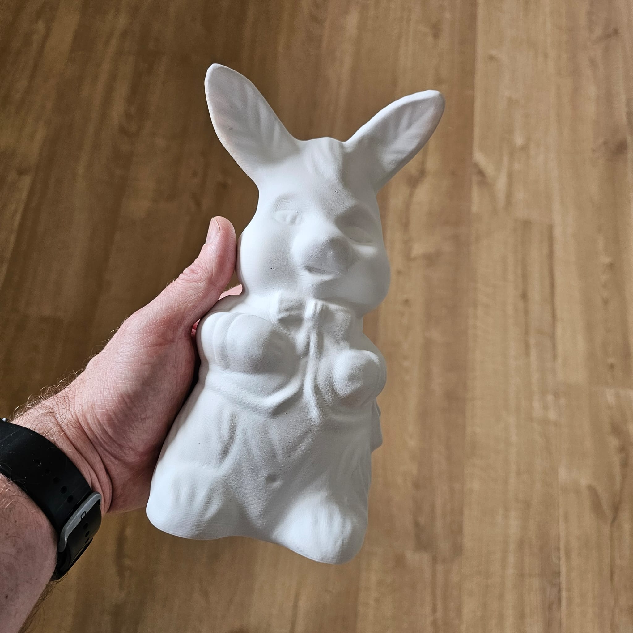 Rabbit print.jpg