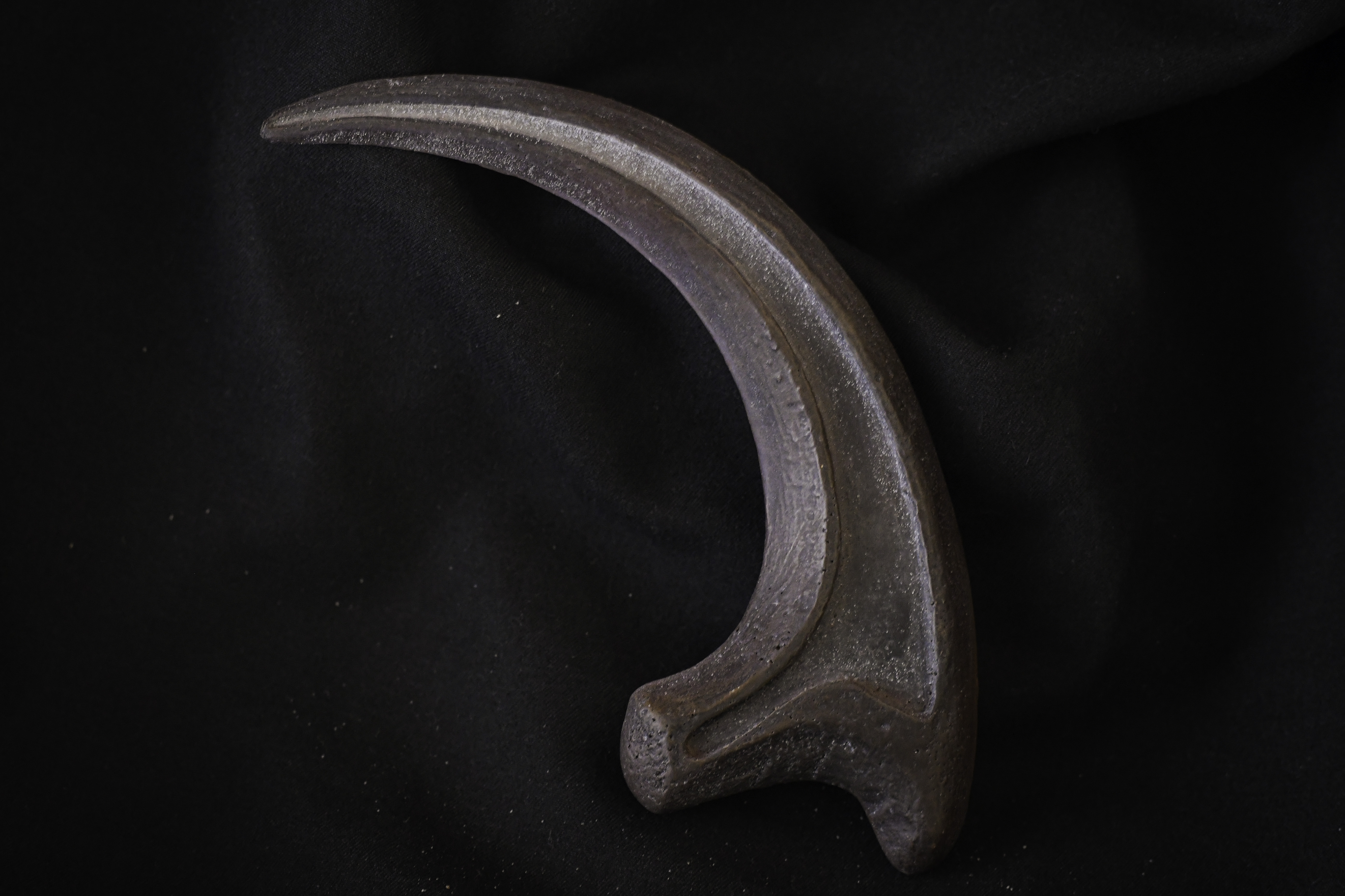 Raptor Claw Updates-2.jpg