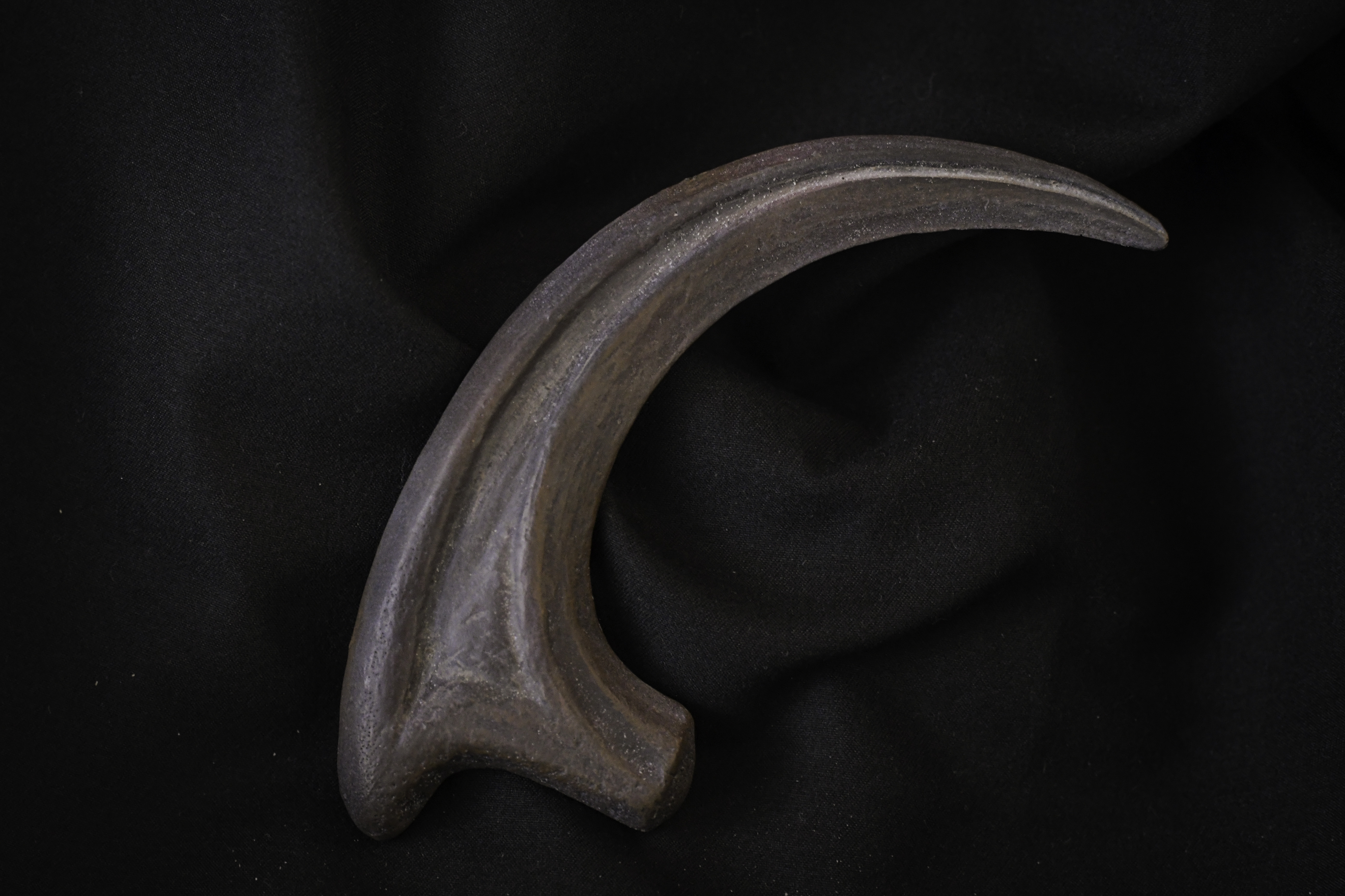 Raptor Claw Updates-3.jpg