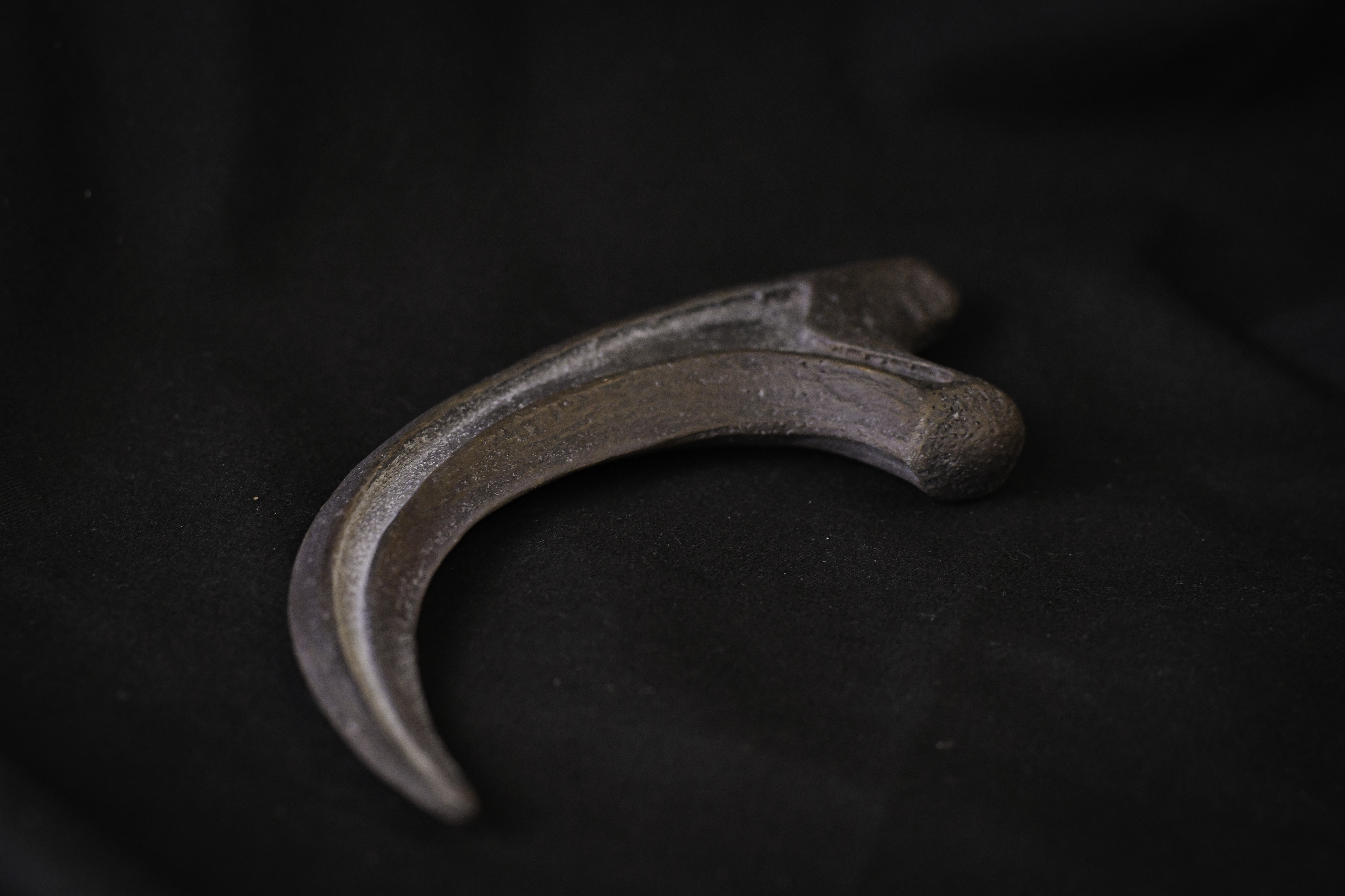 Raptor Claw Updates-5.jpg