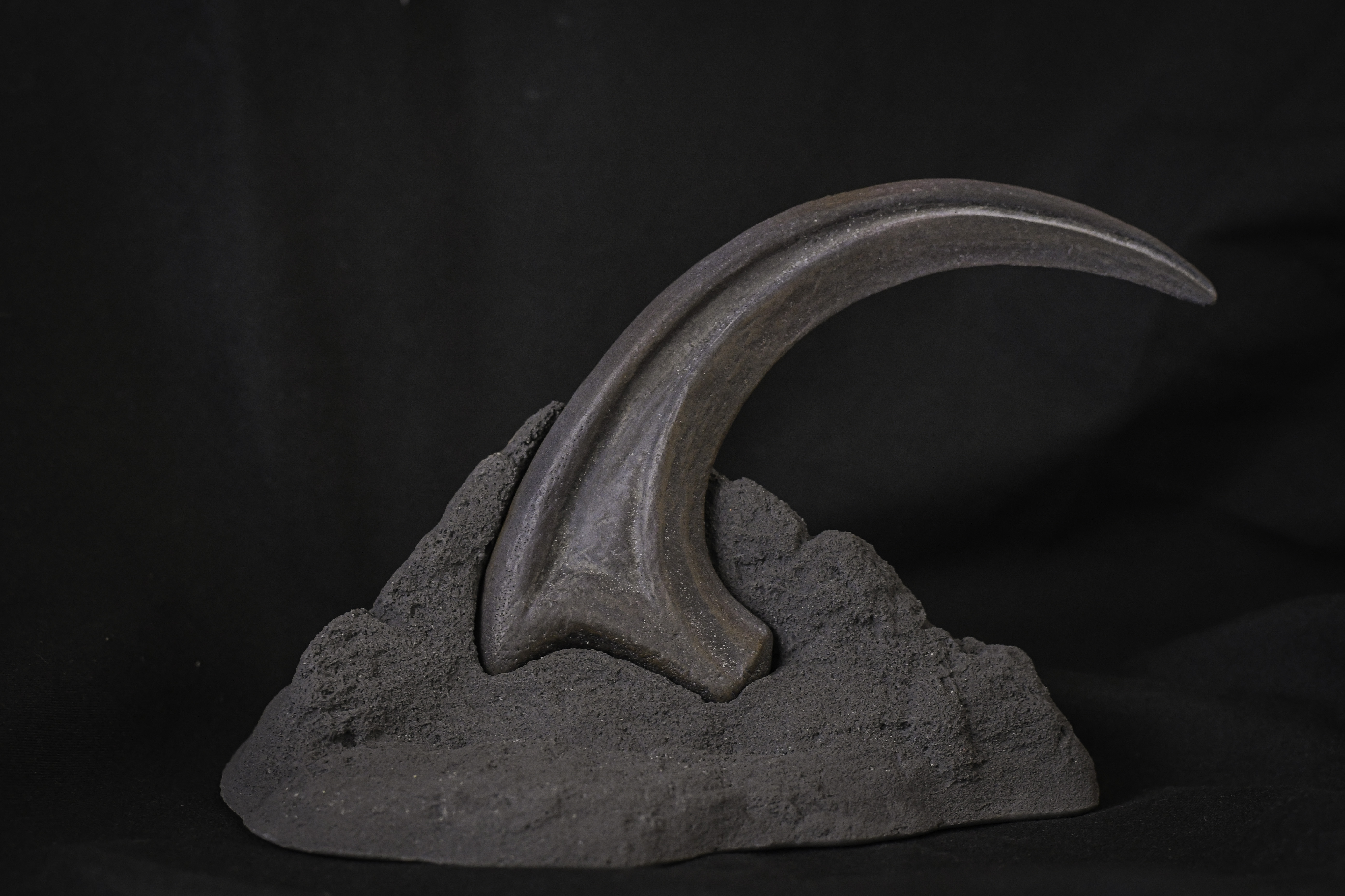 Raptor Claw Updates-9.jpg