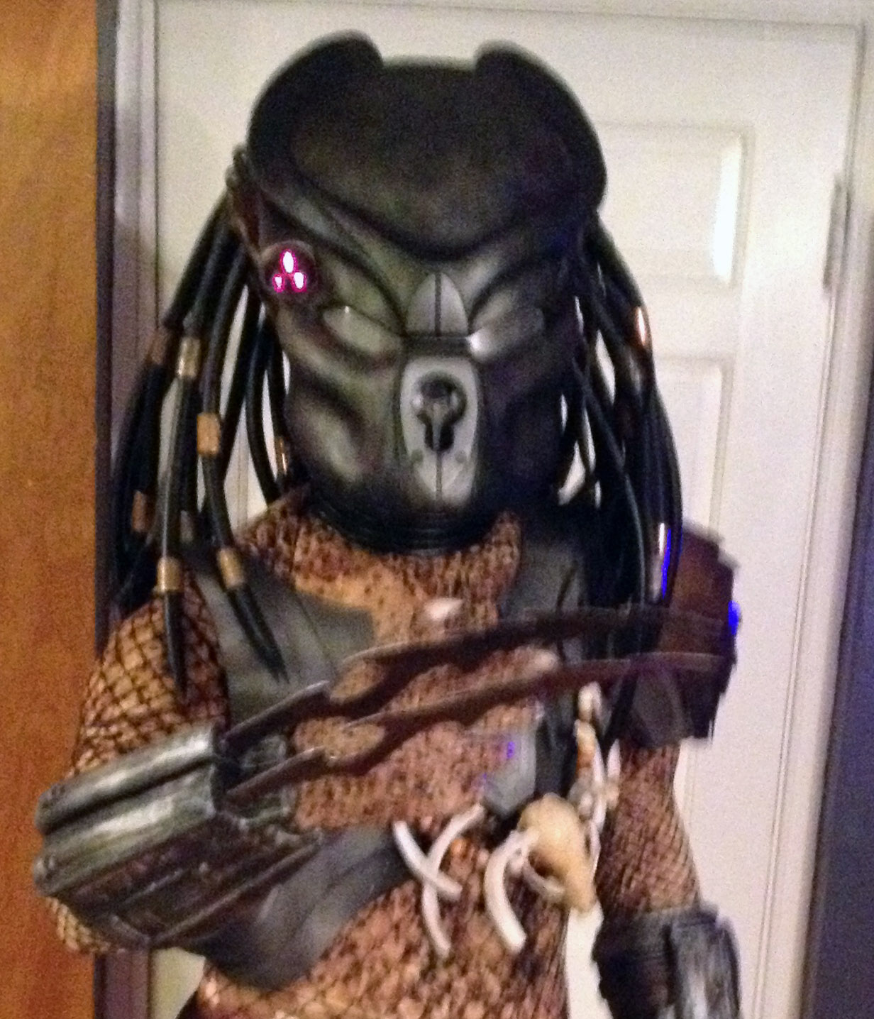 rattlesnake_bio_close.jpg