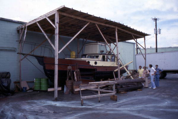 Real Orca 35.jpg