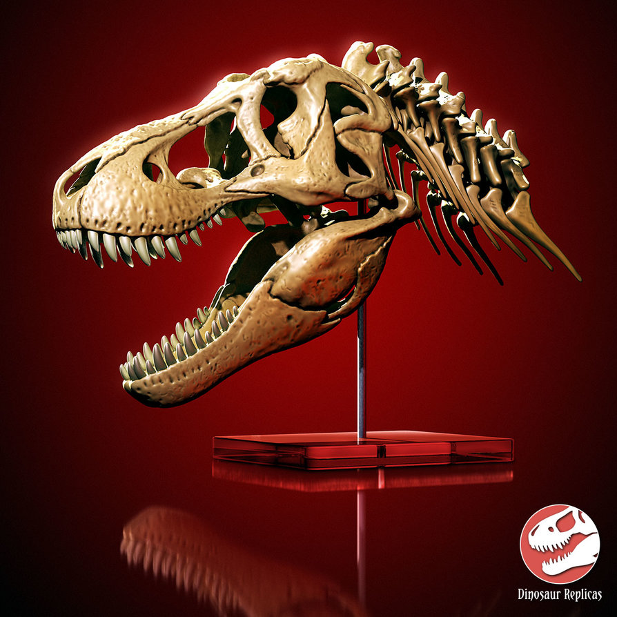rex_02_square_1200_by_strick67-dcn5x11.jpg