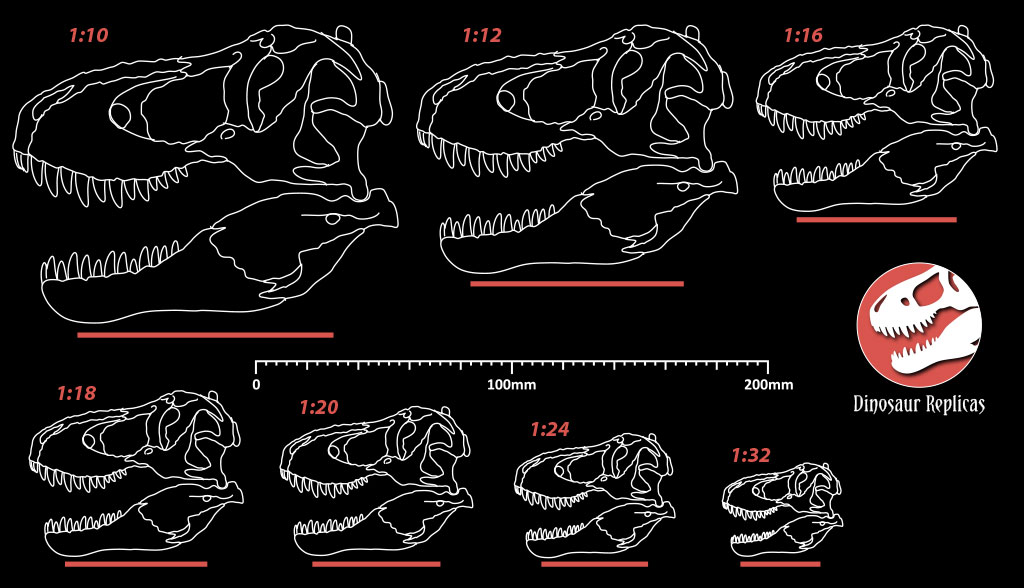 rex_scale_guide_by_strick67-dci6uzy.jpg