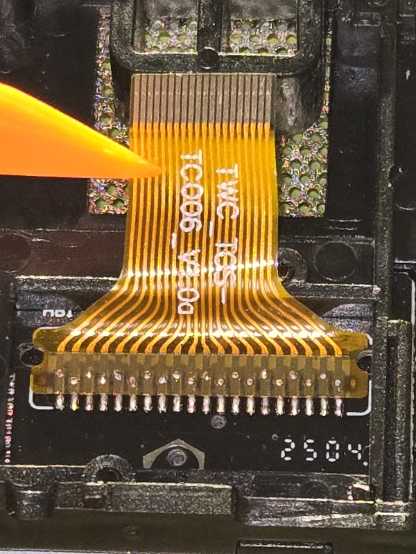 ribbon1.jpg