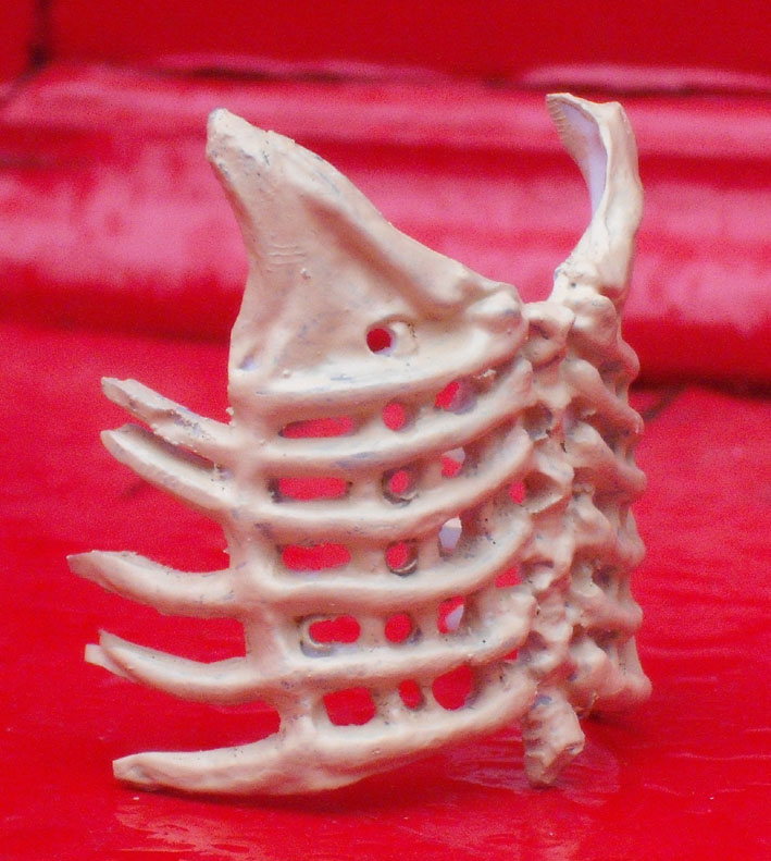 ribs6.jpg