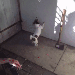 riveting.gif