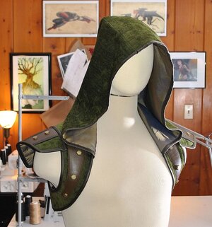 rogue-hood-4.jpg
