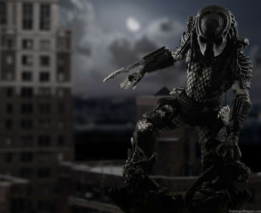 rooftop_rev_sm.jpg