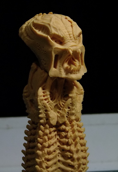 s2_zps28509f31.jpg