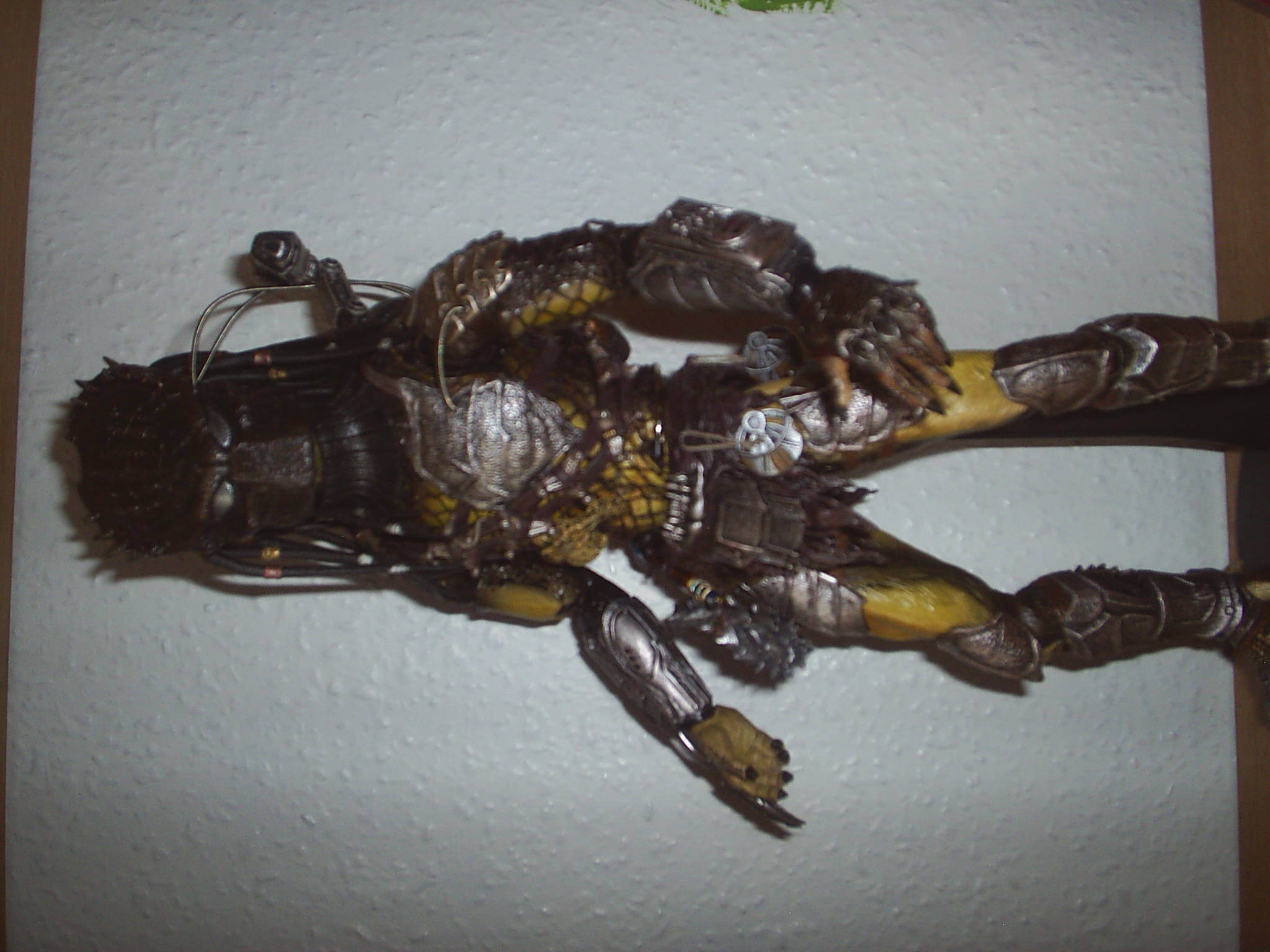 S4010028.JPG