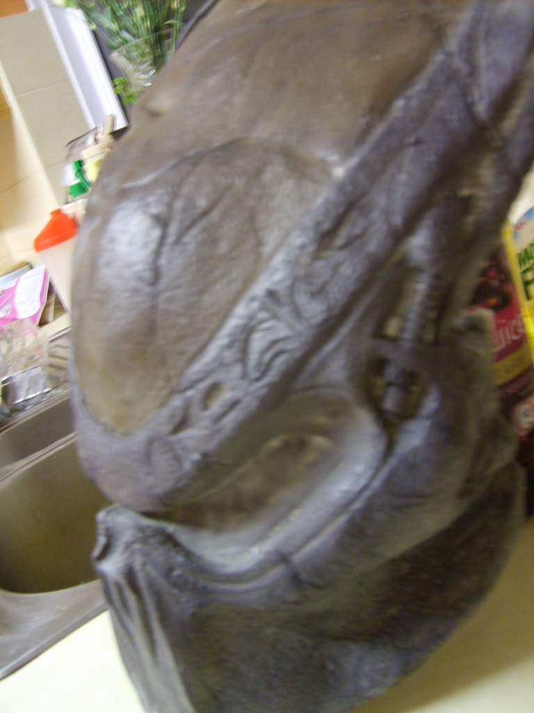 S5002239.JPG