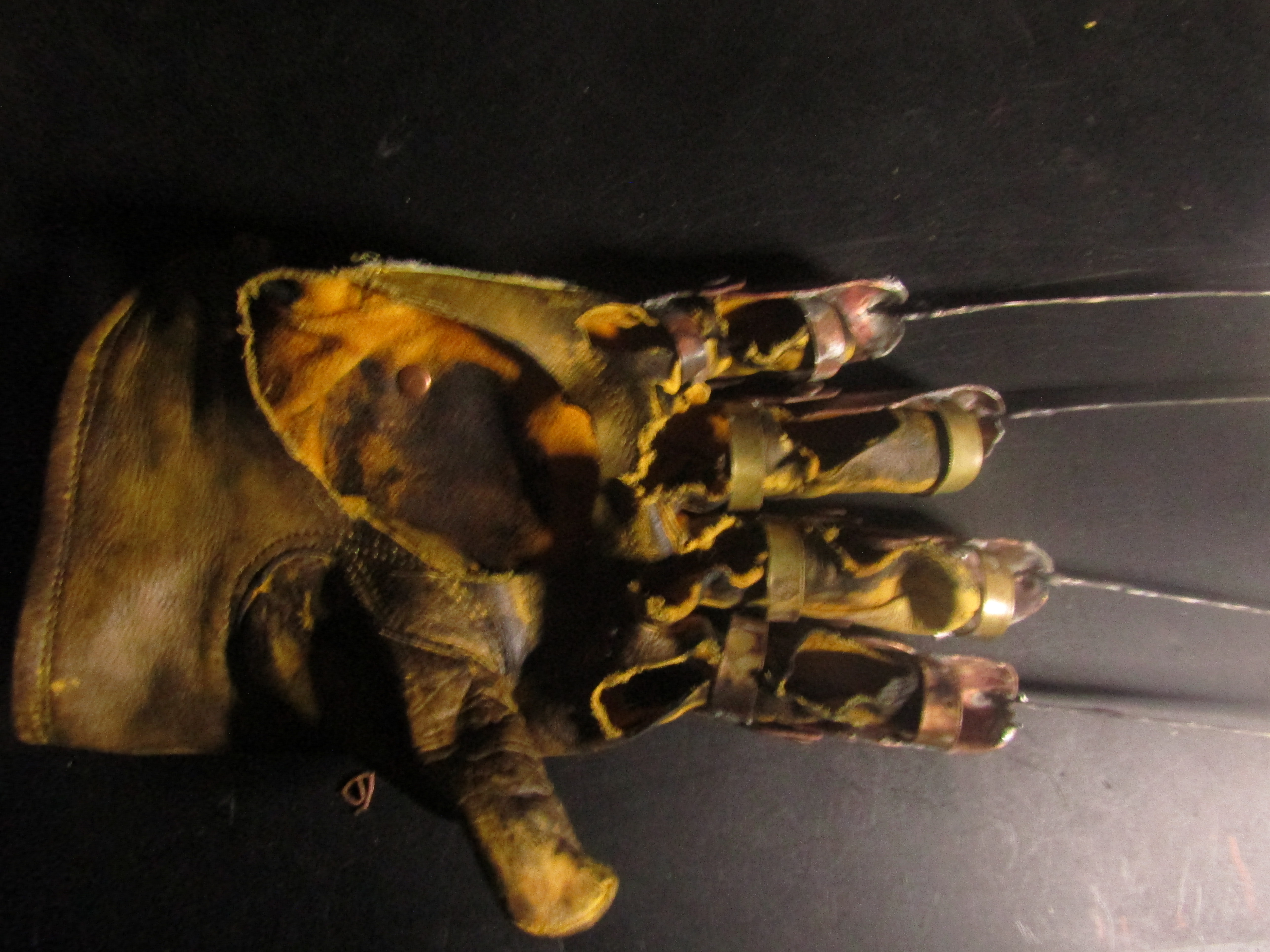 scabclaw5.JPG