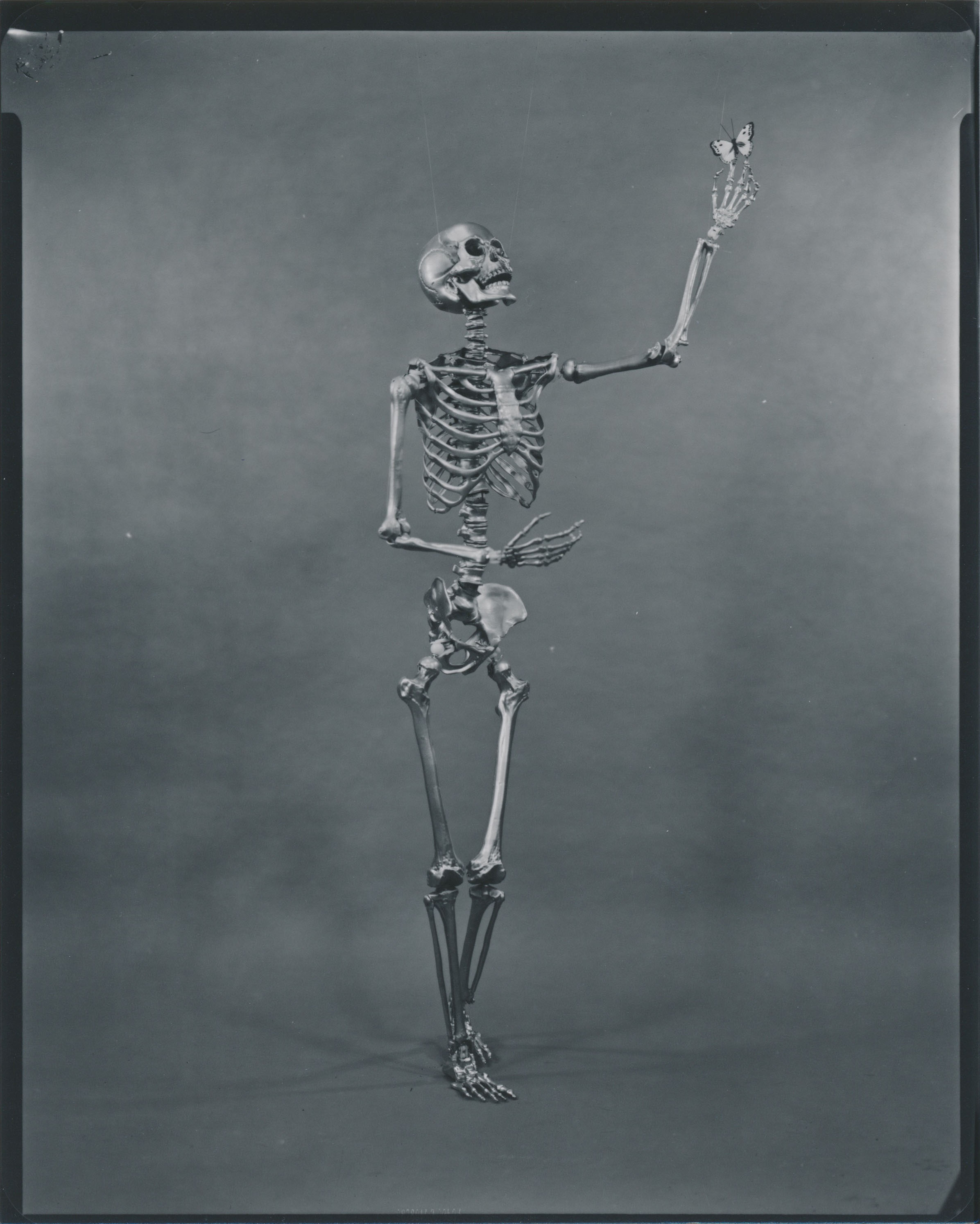 Scan 1_compressed.jpg