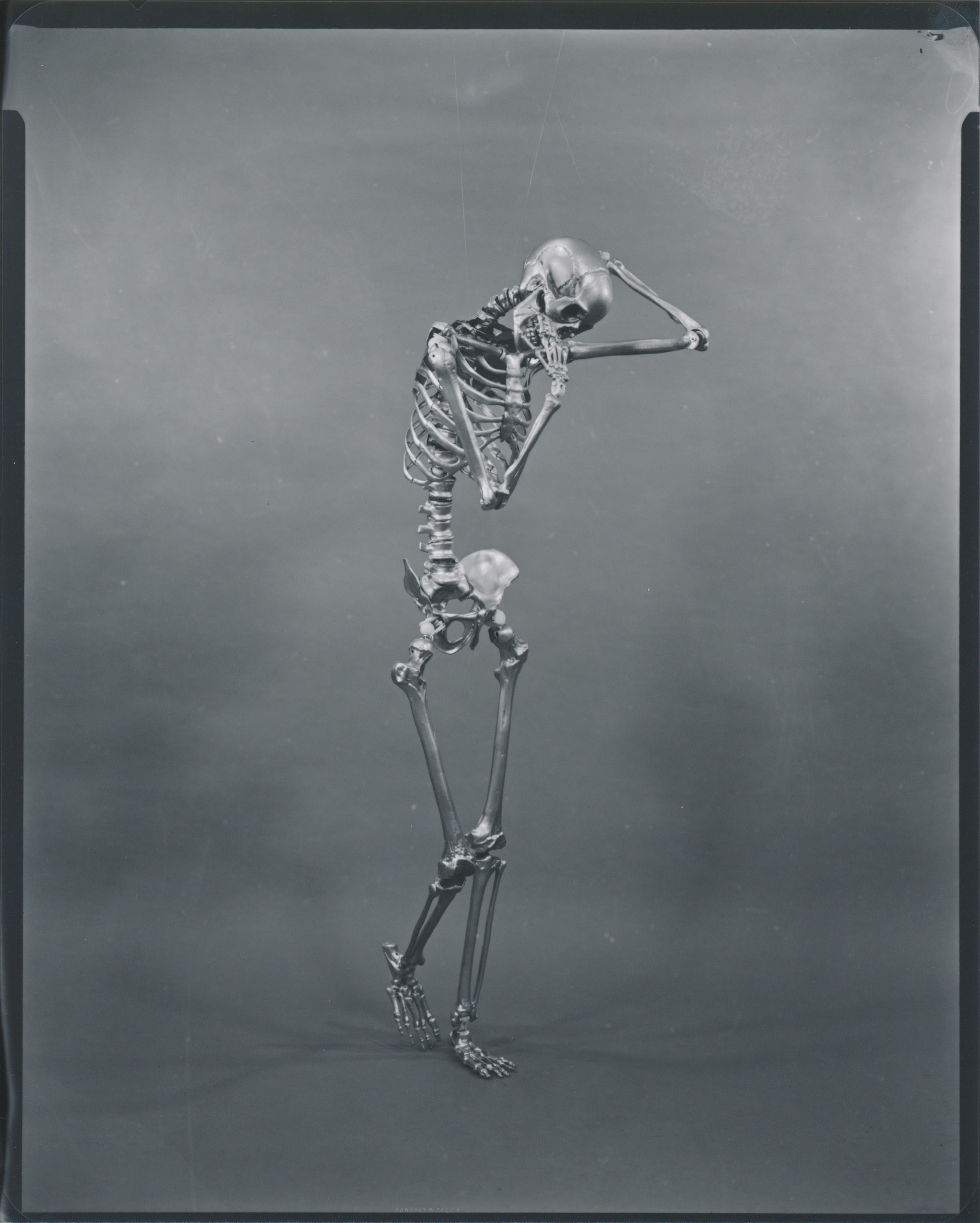 Scan 2.jpg