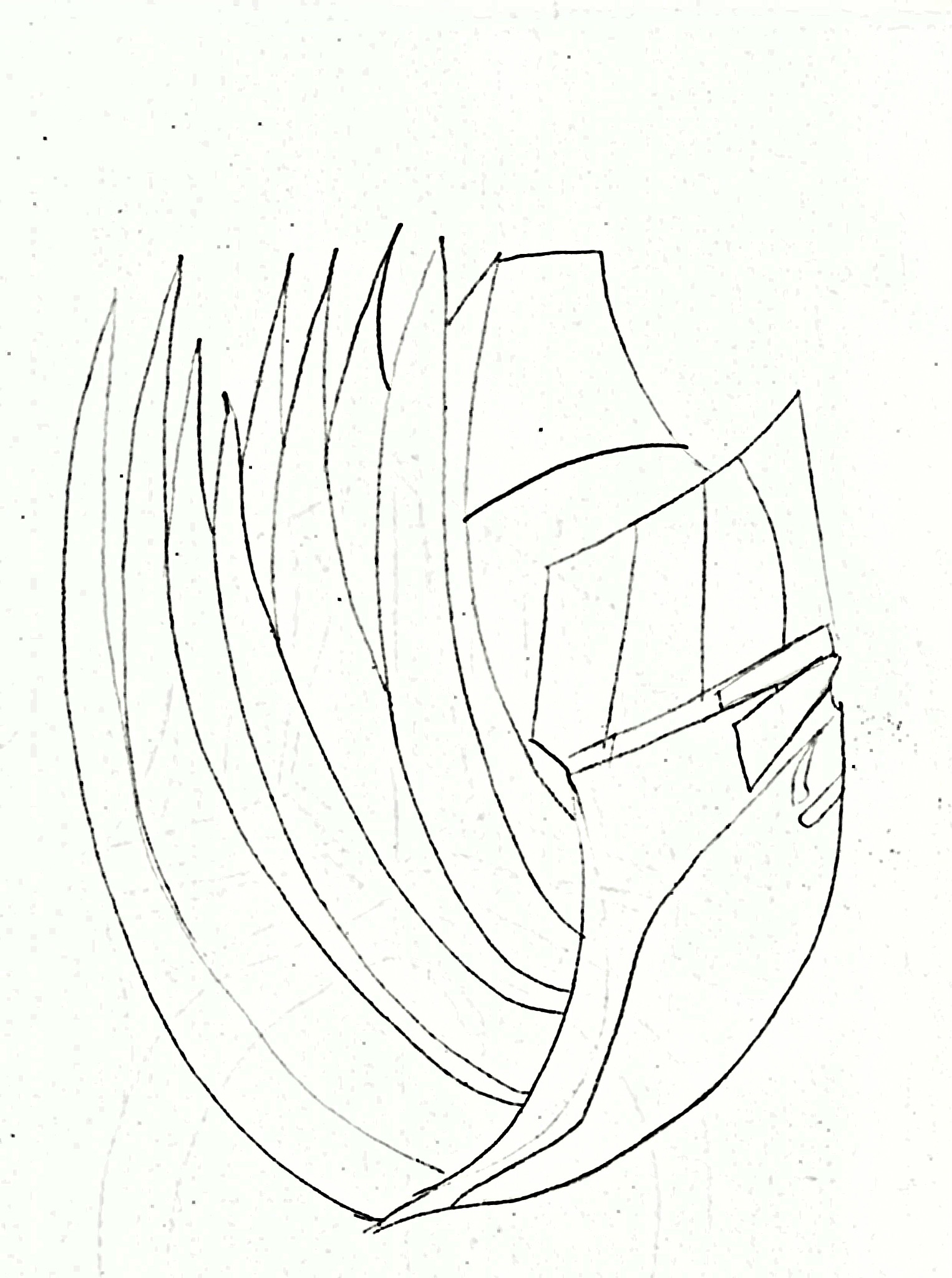 SCAN0004edited.jpg