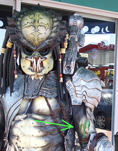 scar.jpg