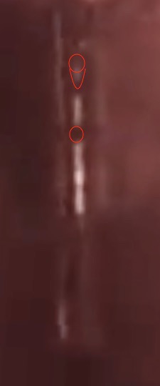 Screen Shot 2020-01-19 at 12.32.17 AM.jpeg