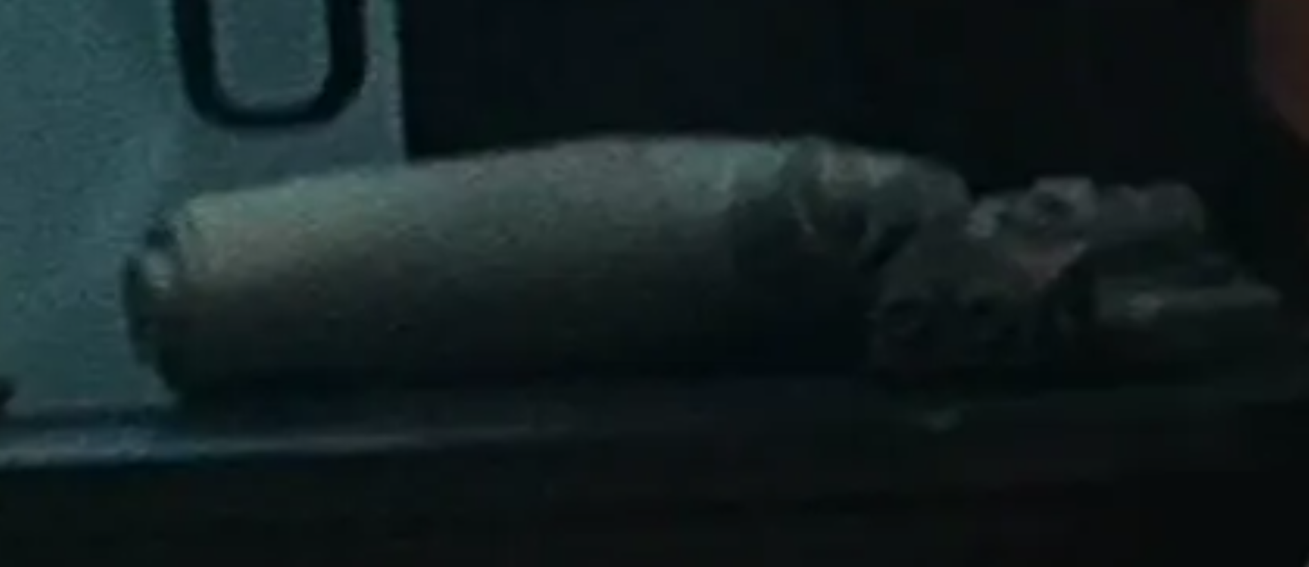 Screenshot 2024-10-24 at 3.34.49 PM.png