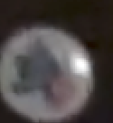 Screenshot 2025-06-20 143023.png